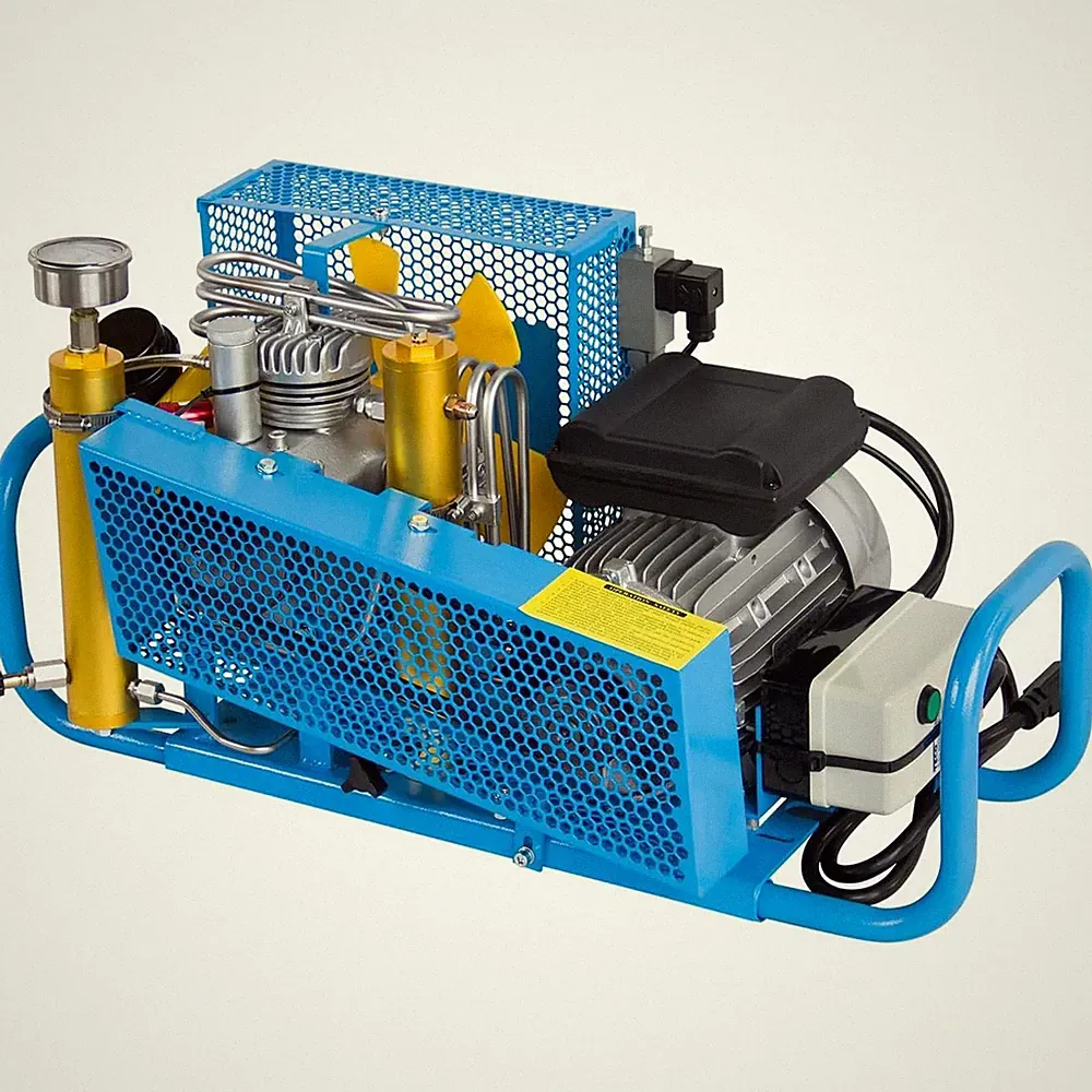 Compact Electric Air Compressor 110V 4500psi High Pressure Air Charging System